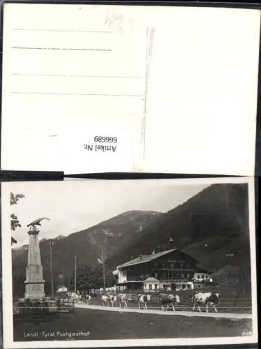 666689,Land bei Kufstein Postgasthof Kühe Kuh Kundl Bayrischzell