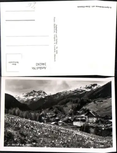 246242,St. Anton am Arlberg Teilansicht Blumenweise Krokusse pub Risch-Lau 8451