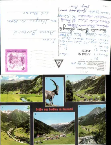 454529,Feichten im Kaunertal Totale Steinbock Mehrbildkarte