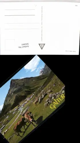 505841,Galtür Totale Rinder Bergkulisse