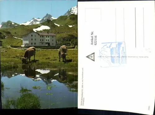 622116,Ischgl Heidelbergerhütte m. Fluchthorn u. Zahnspitze Kühe Rinder