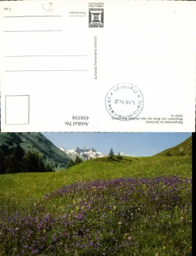 450358,Dorfertal Bergwiese b. Kals Moaralm Bergkulisse