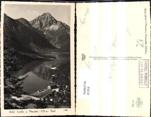 81954,Blick über Plansee Thaneller Hotel Forelle Heiterwang Breitenwang