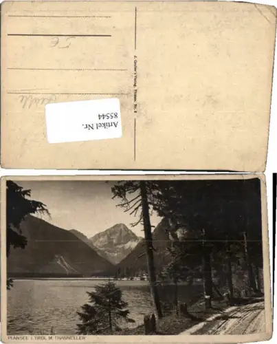 85544,Plansee b. Reutte Wegpartie 1920