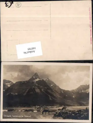 160705,Fotokarte Ehrwald in Tirol m. Pferd 1930