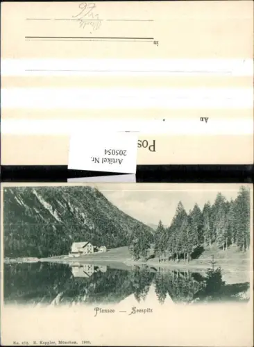 205054,Plansee See b. Reutte Seespitz