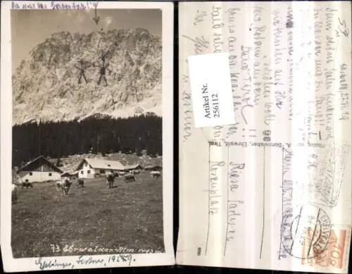 256112,Ehrwalder-Alm Almhütten Bergkulisse b. Ehrwald
