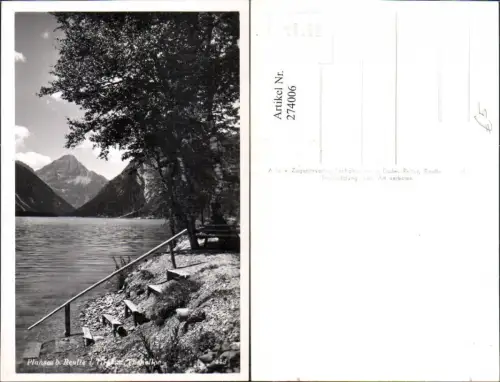 274006,Plansee See b. Reutte in Tirol m. Thaneller Bergkulisse