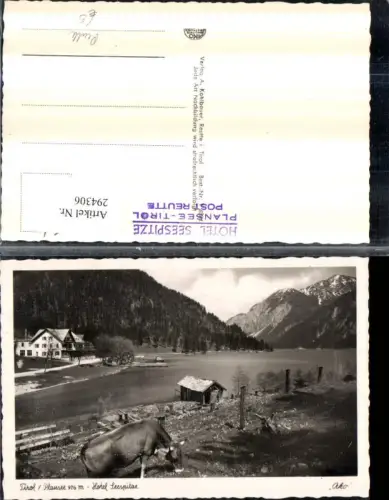 294306,Plansee See b. Reutte m. Hotel Seespitze Kuh Rind Bergkulisse