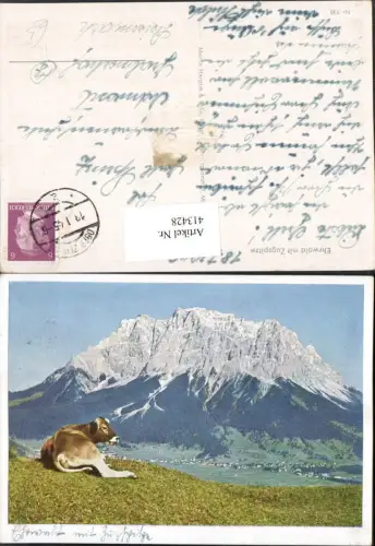 413428,Künstler AK Ehrwald m. Zugspitze Rind Kuh Bergkulisse