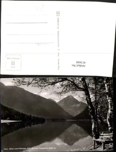 413448,Plansee See b. Reutte m. Thaneller Bergkulisse