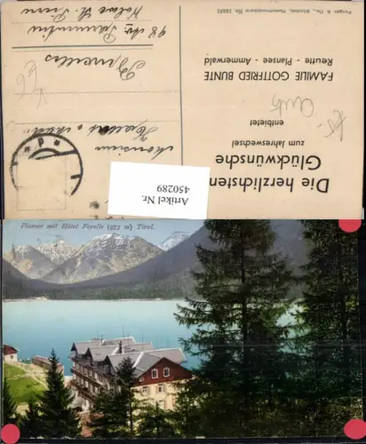 450289,Plansee See b. Reutte Hotel Forelle Bergkulisse pub Purger e Co 13481
