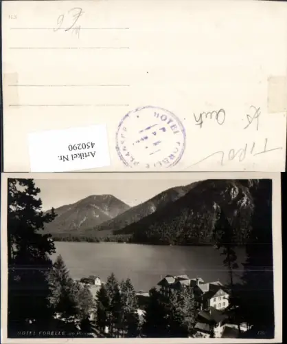 450290,Hotel Forelle am Plansee See b. Reutte Bergkulisse