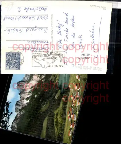 471866,Haldensee See b. Nesselwängle m. Rotlfüh Bergkulisse