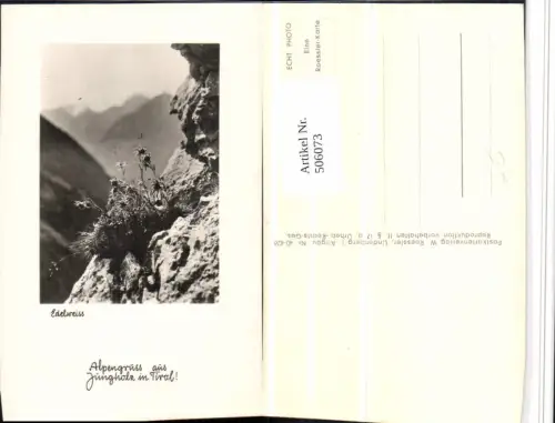 506073,Alpengruß aus Jungholz Edelweiß Bergkulisse