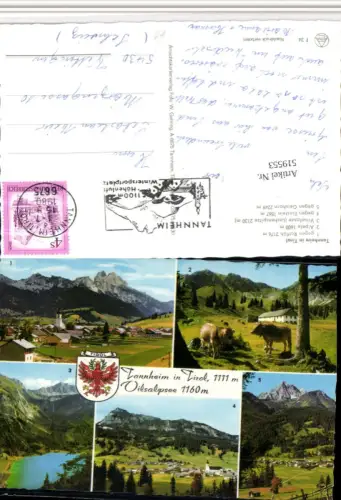 519553,Tannheim Totale Vilsalpsee See Rinder Mehrbildkarte