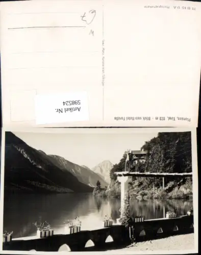 598524,Plansee Blick v. Hotel Forelle Breitenwang
