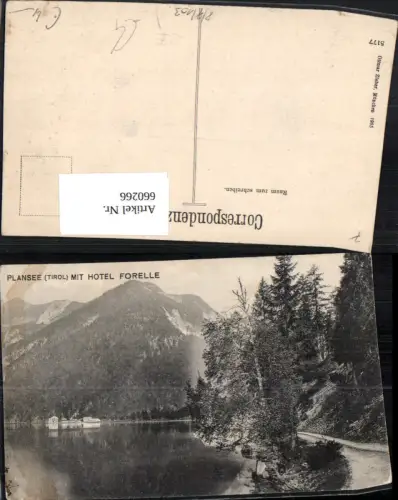 660266,Breitenwang Plansee mit Hotel Forelle