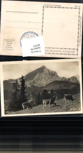 687471 Alpspitze m. Kuh Kühe Garmisch Partenkirchen Ehrwald