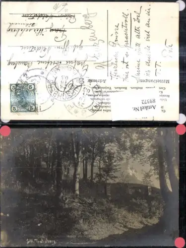 89372,Schloss Tratzberg b. Jenbach Bäume Wald i. Vordergrund