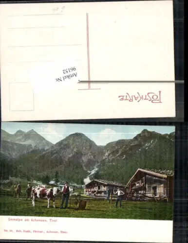 96152,Pertisau Maurach Eben Gernalpe Achensee Kühe Bauern