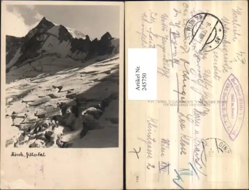 245750,Mösele im Zillertal Bergkulisse b. Mayrhofen pub Hans Hruschka