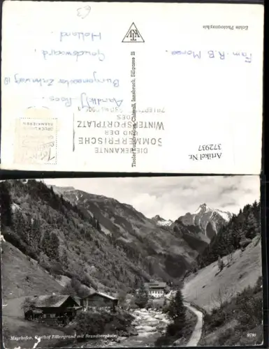 372937,Mayrhofen Gasthof Zillergrund m. Brandbergkolm Bergkulisse