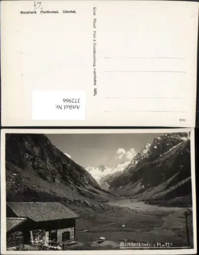 372966,Steinbock Floittental im Zillertal b. Mayrhofen Bergkulisse