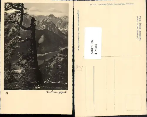 415084,Baum vom Sturm zerzaust m. Blick auf den Achensee b. Achenkirch Bergkulisse