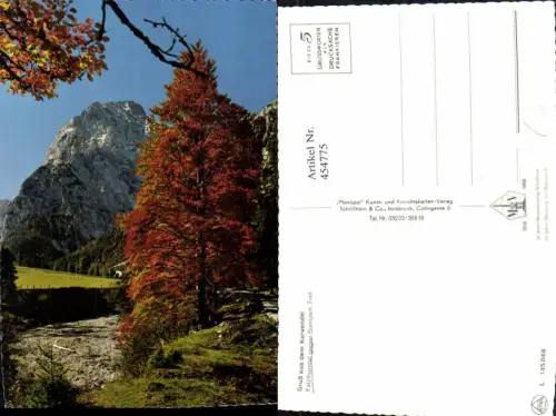 454775,Falzthurntal b. Pertisau geg. Sonnjoch Bergkulisse