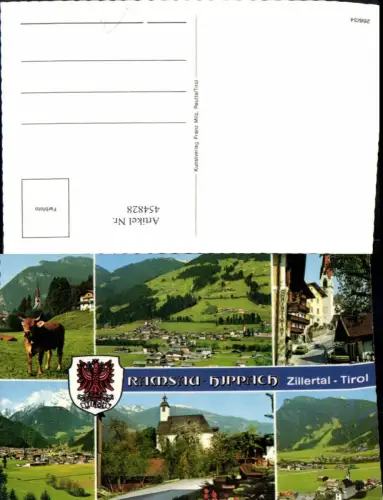 454828,Ramsau Hippach Totale Kirche Rind Mehrbildkarte