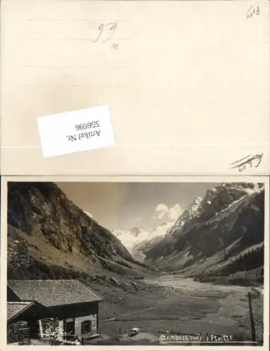556696,Steinbock Floitte bei Ginzling Mayrhofen Zillertal