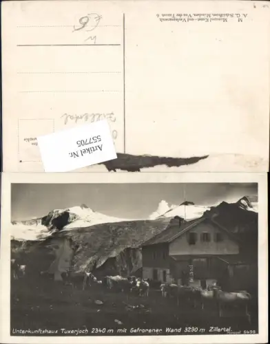 557705,Tuxerjochhaus Tuxerjoch b. Tux Hintertux Zillertal