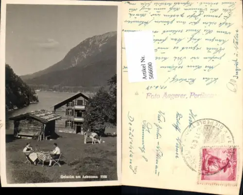 566690,Foto Ak Geisalm am Achensee Kuh Rind Pertisau Eben am Achensee
