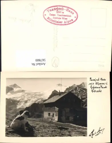 567800,Foto Ak Tux Hintertux Tuxerjoch-Haus m. Olperer u. Gefrorene Hand Zillertal pub Hans Hruschka 1254
