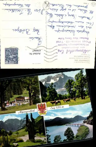 636847,Mehrbild Ak Hinterriß Tirol Alpengasthof Eng Rinder Kühe