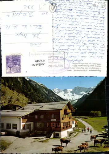 636949,Alpengasthaus Stillupphaus Mayrhofen Zillertal m. Keilbachspitze Kühe Rinder