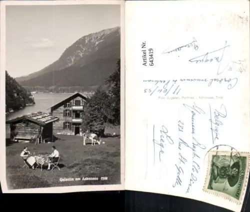 643419,Foto Ak Pertisau Eben am Achensee Geisalm a. Achensee Rind Kuh