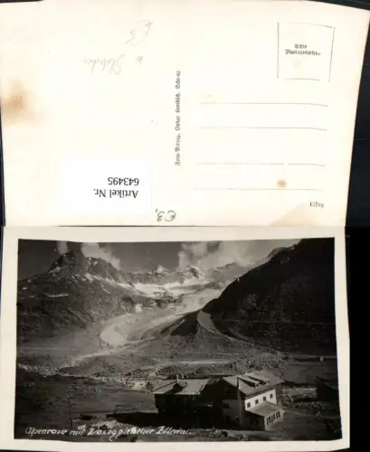 643495,Foto Ak Alpenrose m. Waxeggletscher Zillertal Berliner Hütte Mayrhofen Gletscher