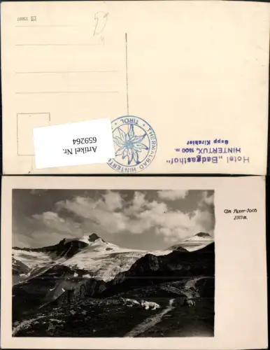 659264,Foto Ak Hintertux Tux Am Tuxer-Joch