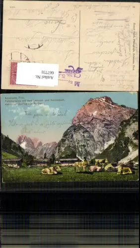 667731,Pertisau Eben a. Achensee Falzthurnalpe Lamsen- u. Sonnenjoch