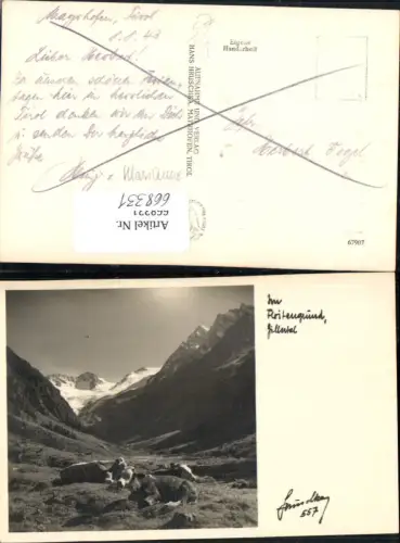 668331,Foto Ak Ginzling Dornauberg-Ginzling Im Floitengrund Zillertal pub Hruschka 557