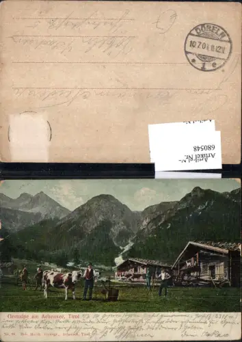 680548 Pertisau am Achensee Gernalpe Maurach Kuh Bauern