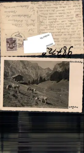 680566 Pertisau am Achensee Bärenbadalm