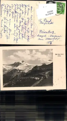 682553 Tuxer-Joch Tux Kühe Gletscher