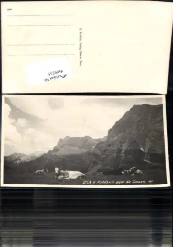 689235 Kohljoch gegen Lamsen bei Schwaz Kühe Kuh Vomp