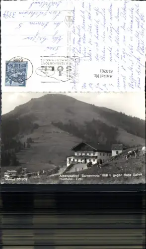 610261,Foto Ak Hochsöll Söll Alpengasthof Salvenmoos geg. Hohe Salve Kühe Rinder