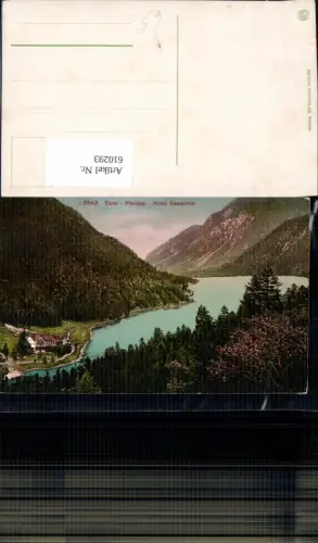 610293,Plansee Hotel Seespitze Tirol Gemeinde Reutte