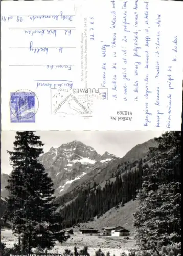 610369,Foto Ak Pinnisalpe m. Habicht Neustift im Stubaital