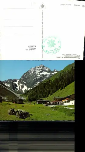 613153,Neustift im Stubaital Alpengasthaus Pinnisalm Blick zum Habicht